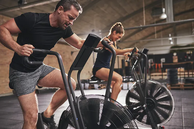 Cordyceps benefits physical endurance