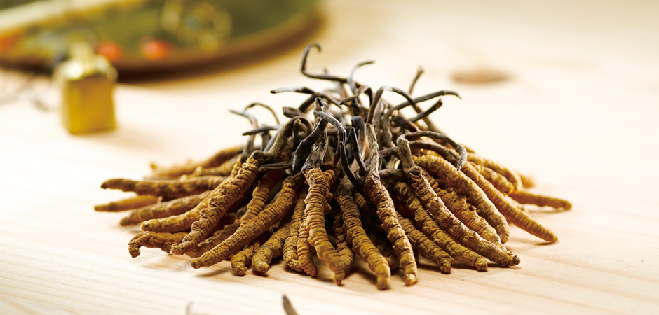 Cordyceps Just Got More Affordable & Sustainable