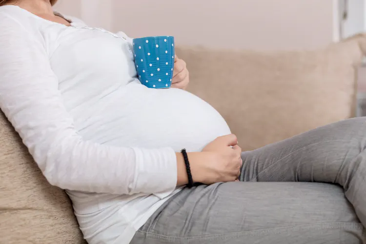 Bird nest for pregnancy